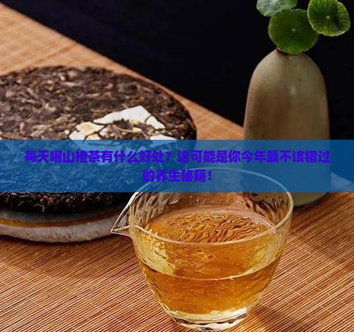 每天喝山楂茶有什么好处