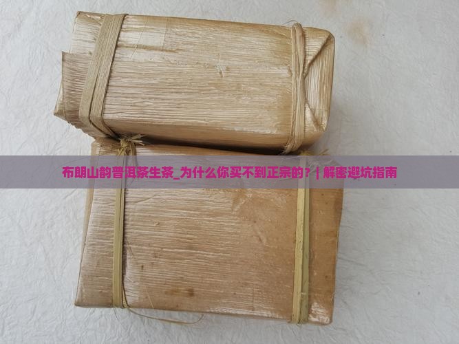 布朗山韵普洱茶生茶