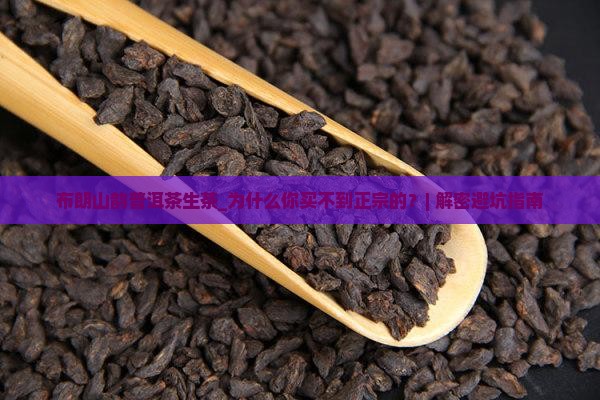 布朗山韵普洱茶生茶