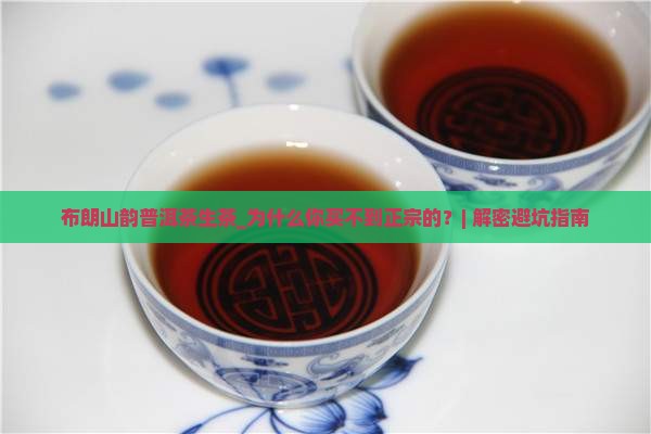 布朗山韵普洱茶生茶