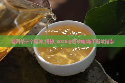 普洱茶三个品种