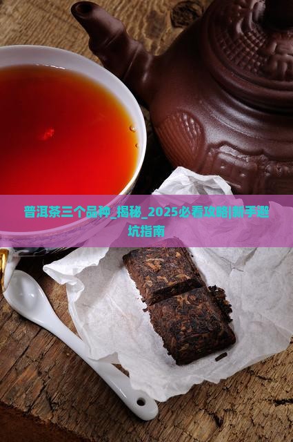 普洱茶三个品种