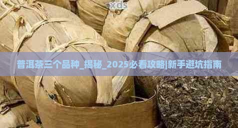 普洱茶三个品种