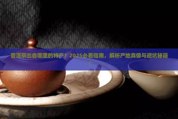 普洱茶出自哪里的特产
