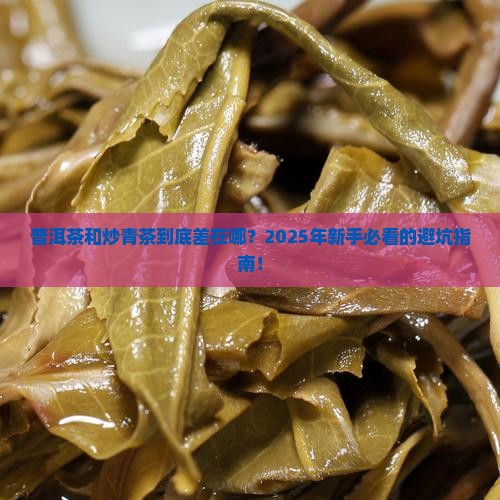 普洱茶炒青茶的区别