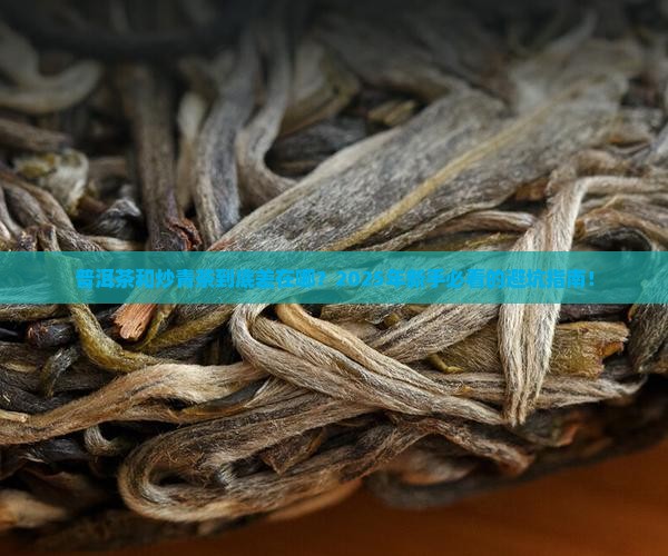 普洱茶炒青茶的区别