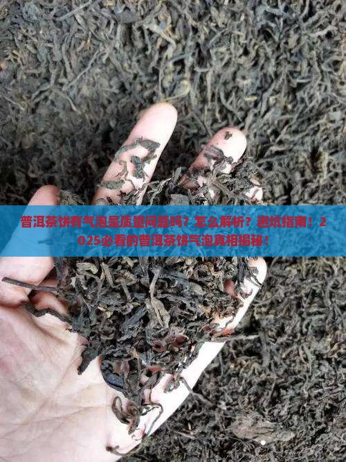 普洱茶饼有气泡
