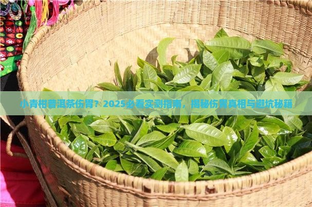 小青柑普洱茶伤胃