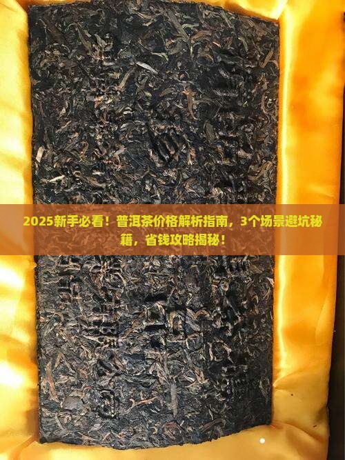 树说普洱茶价格