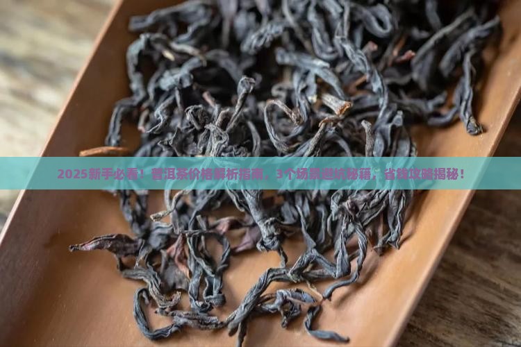 树说普洱茶价格