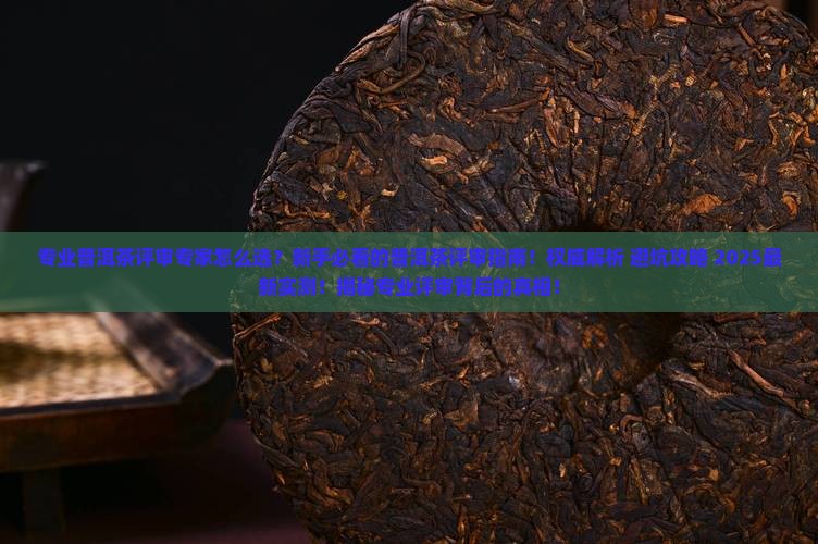 专业普洱茶评审专家