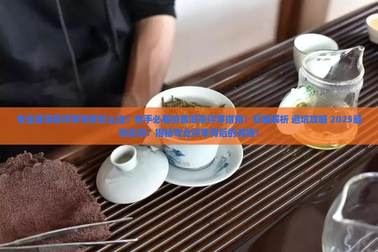 专业普洱茶评审专家
