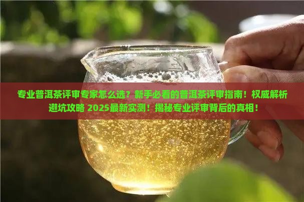 专业普洱茶评审专家