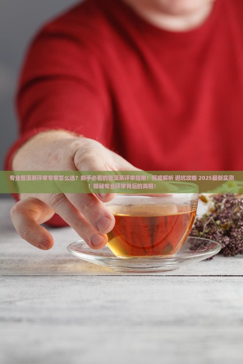专业普洱茶评审专家