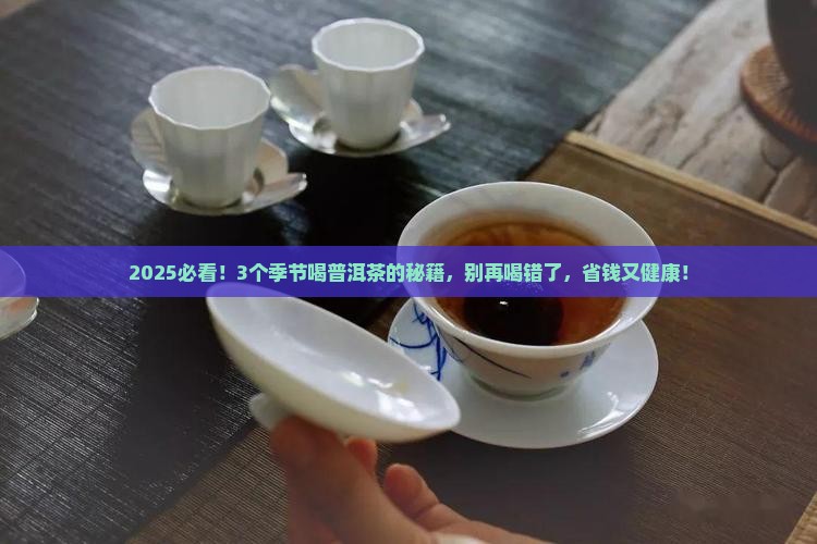 普洱茶功效什么季节喝