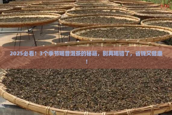 普洱茶功效什么季节喝
