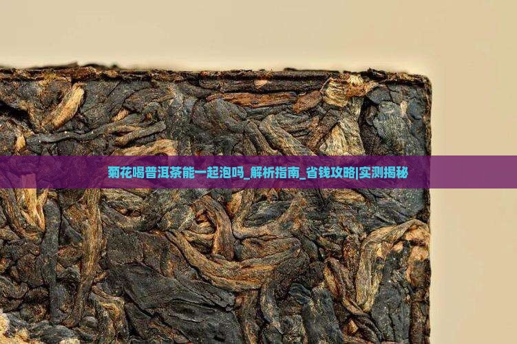 菊花喝普洱茶能一起泡吗 菊花喝普洱茶能一起泡吗
