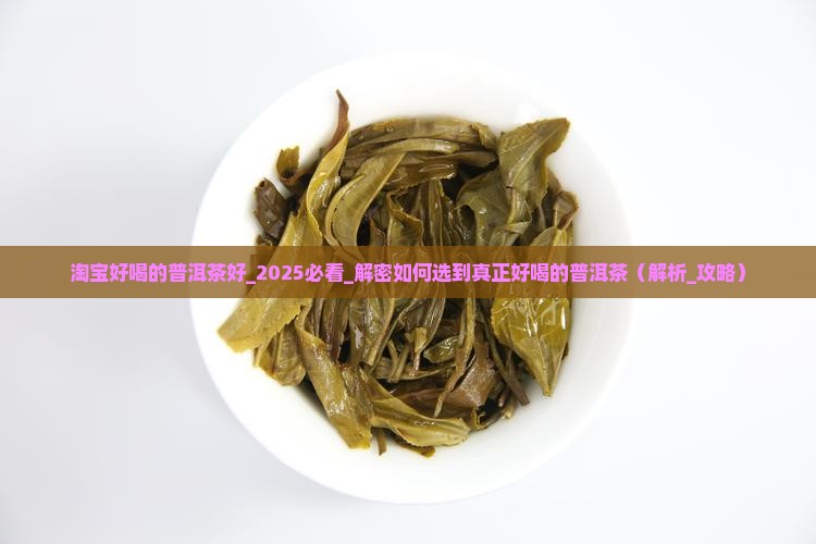 淘宝好喝的普洱茶好