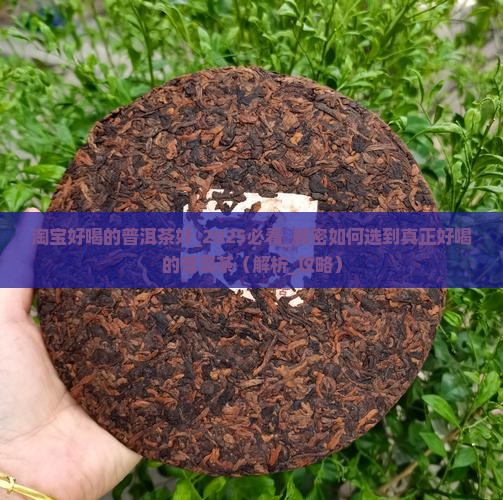 淘宝好喝的普洱茶好