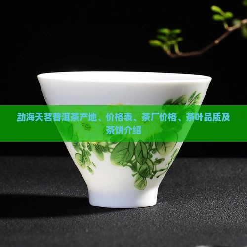 勐海天茗普洱茶
