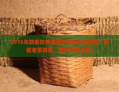 醉春秋普洱茶2015年