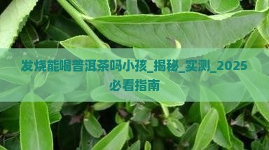 发烧能喝普洱茶吗小孩
