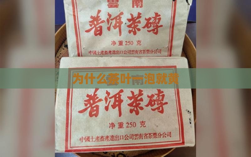 为什么茶叶一泡就黄