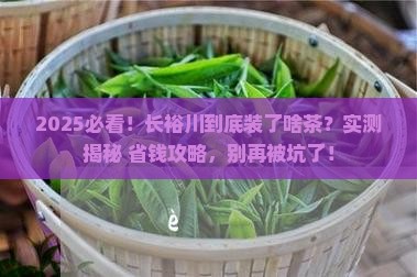 长裕川一般装的什么茶