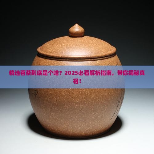 精选茗茶是什么茶