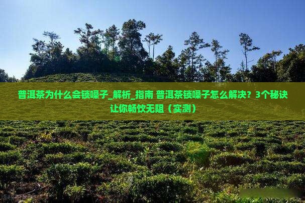 普洱茶为什么会锁嗓子
