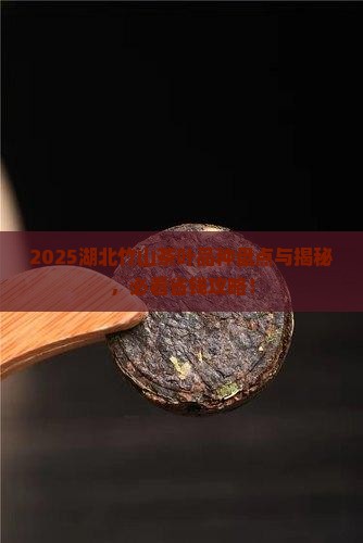 湖北竹山茶叶品种