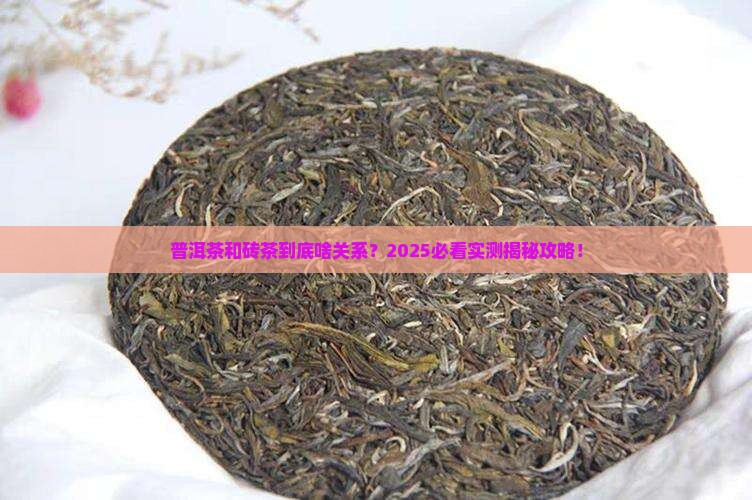 普洱茶是不是砖茶