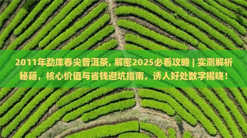 2011年勐库春尖普洱茶