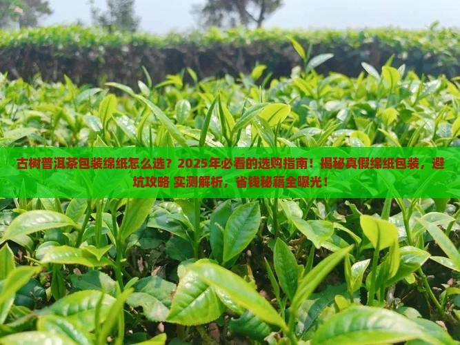 古树普洱茶包装绵纸