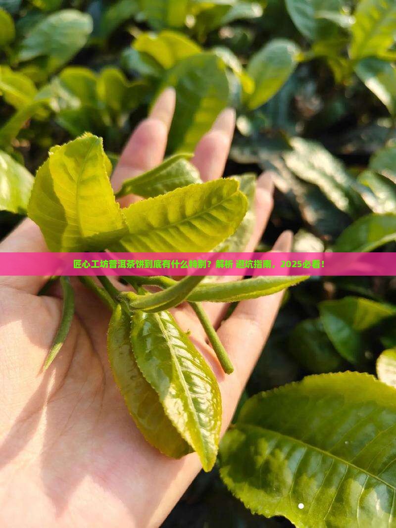 匠心工坊普洱茶饼特点分析