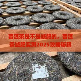 普洱茶是不是减肥的
