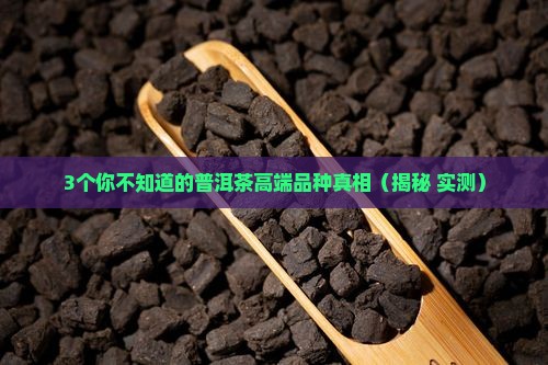 普洱茶高端品种