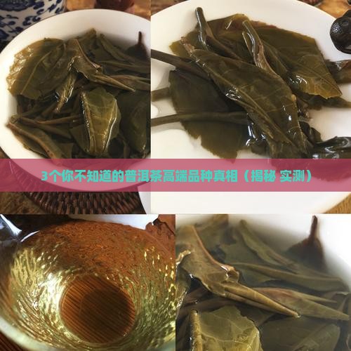 普洱茶高端品种