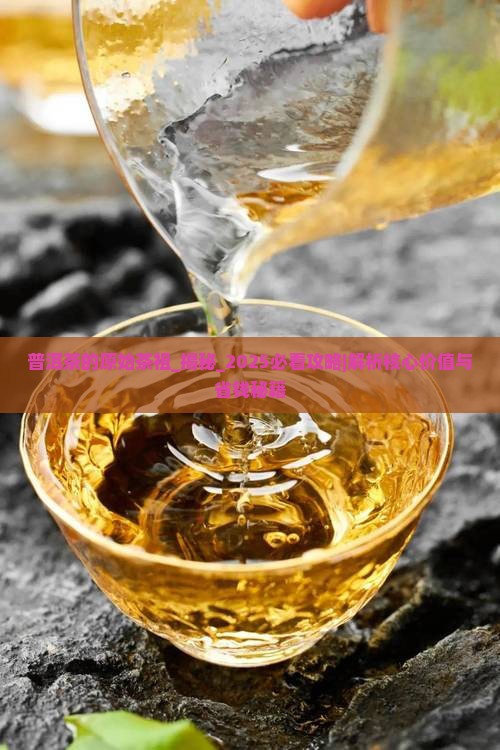 普洱茶的原始茶祖