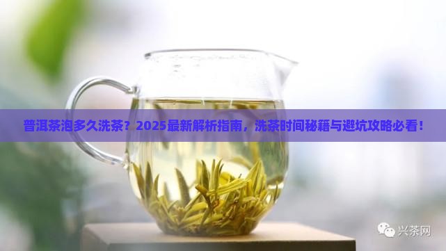 普洱茶泡多久洗茶