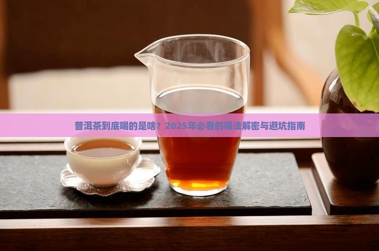 普洱茶喝的到底是什么