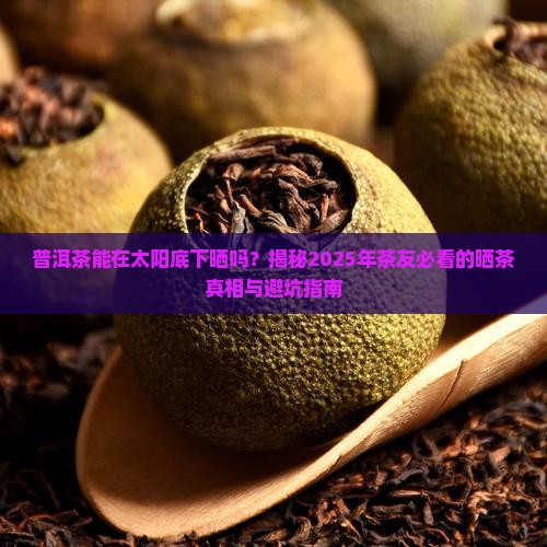 普洱茶能在太阳底下晒吗
