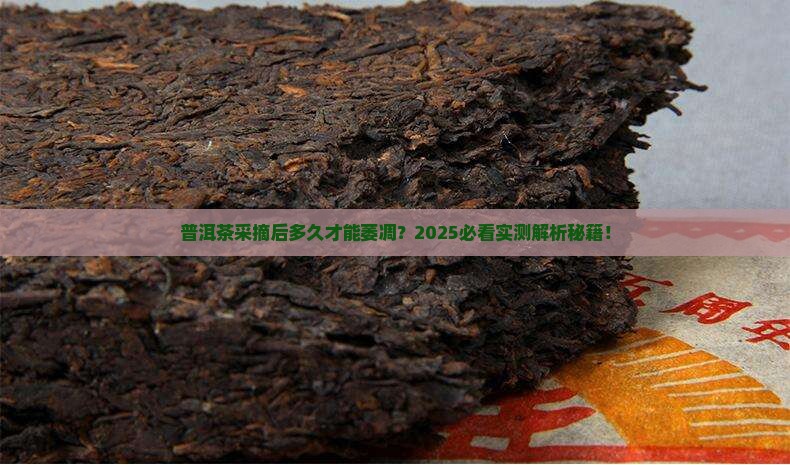 普洱茶从采摘到萎凋的时间