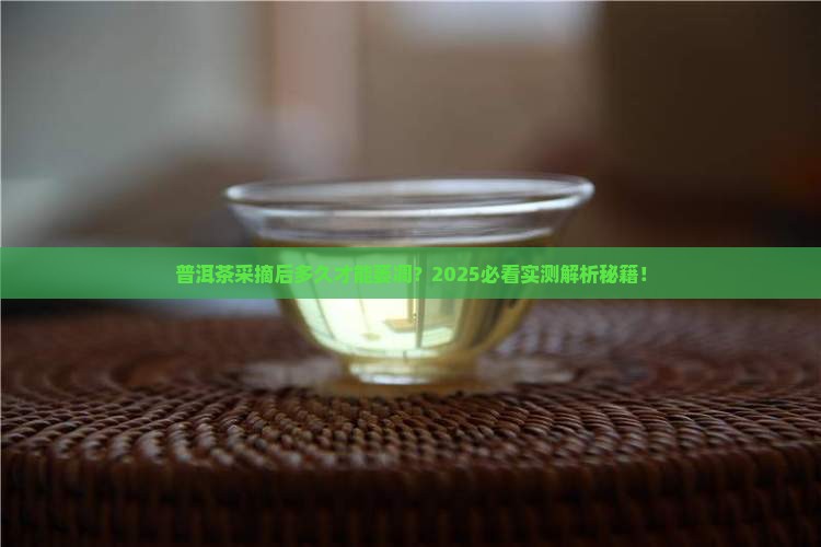 普洱茶从采摘到萎凋的时间