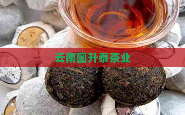 云南圆升泰茶业