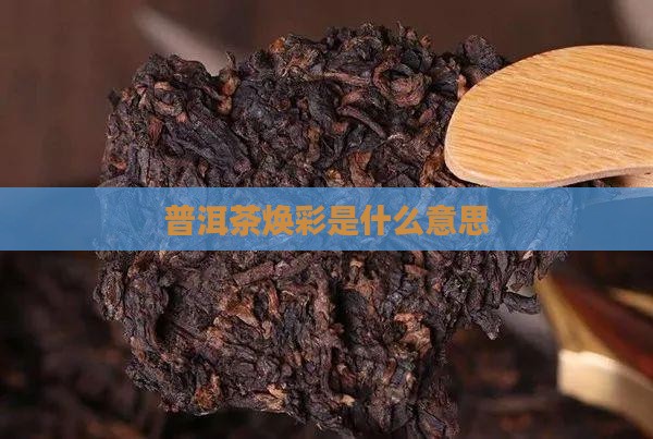 普洱茶焕彩是什么意思