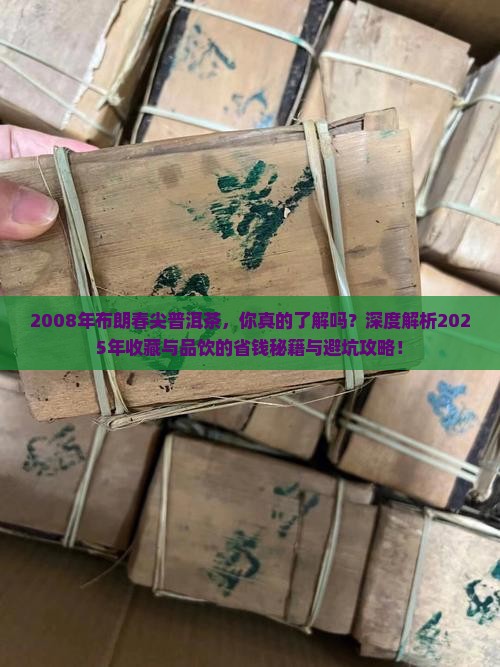 2008年布朗春尖普洱茶