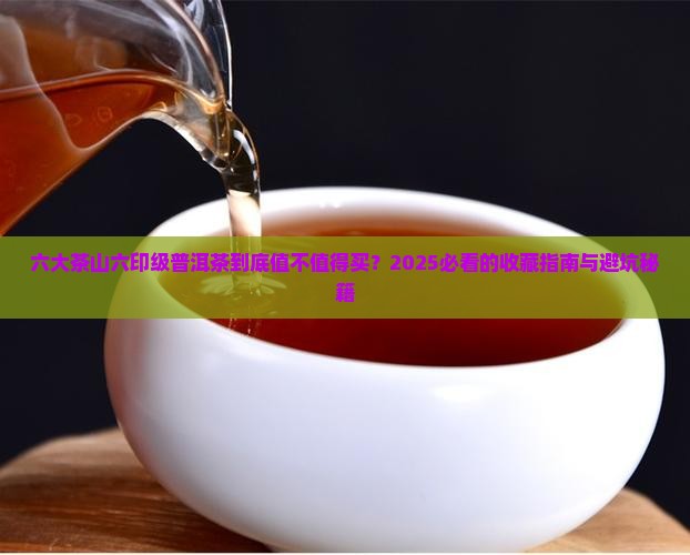 六大茶山六印级普洱茶