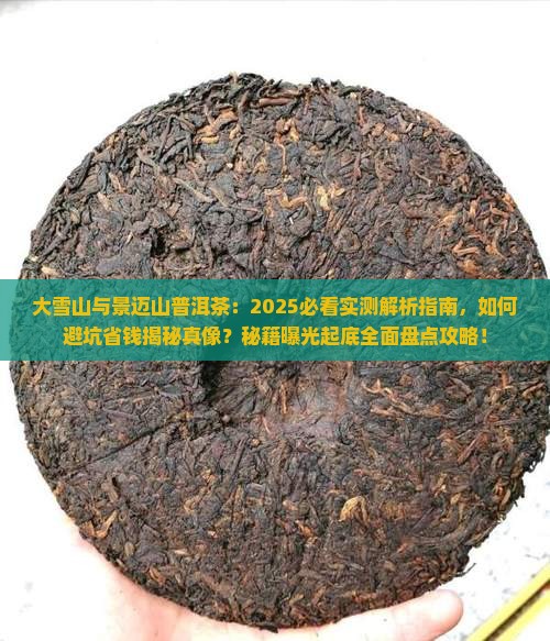 大雪山与景迈山普洱茶