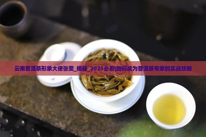 云南普洱茶形象大使张雯